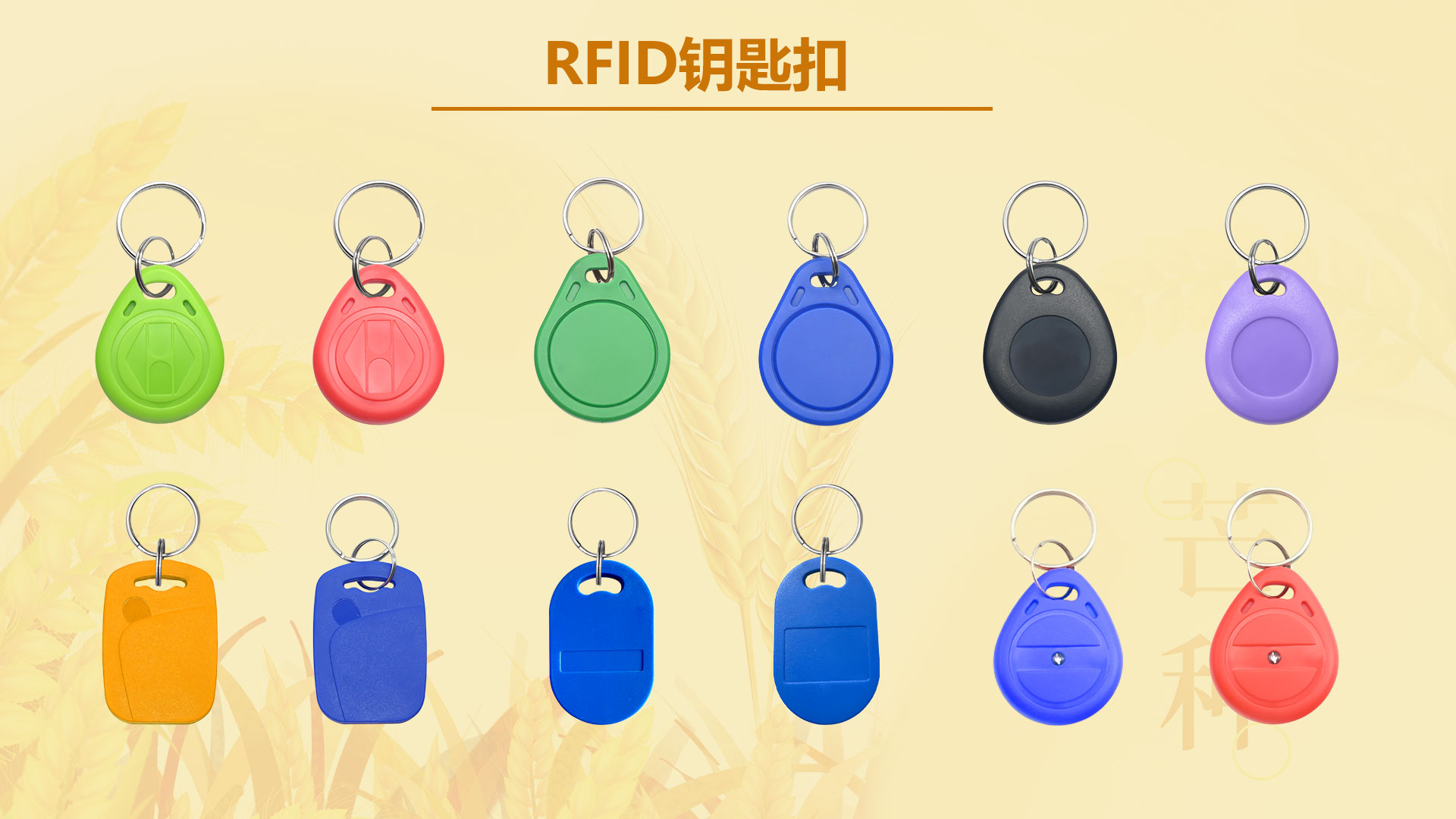 微信圖片_20260602153930_5426_127 微信圖片_20260602153930_5426_127